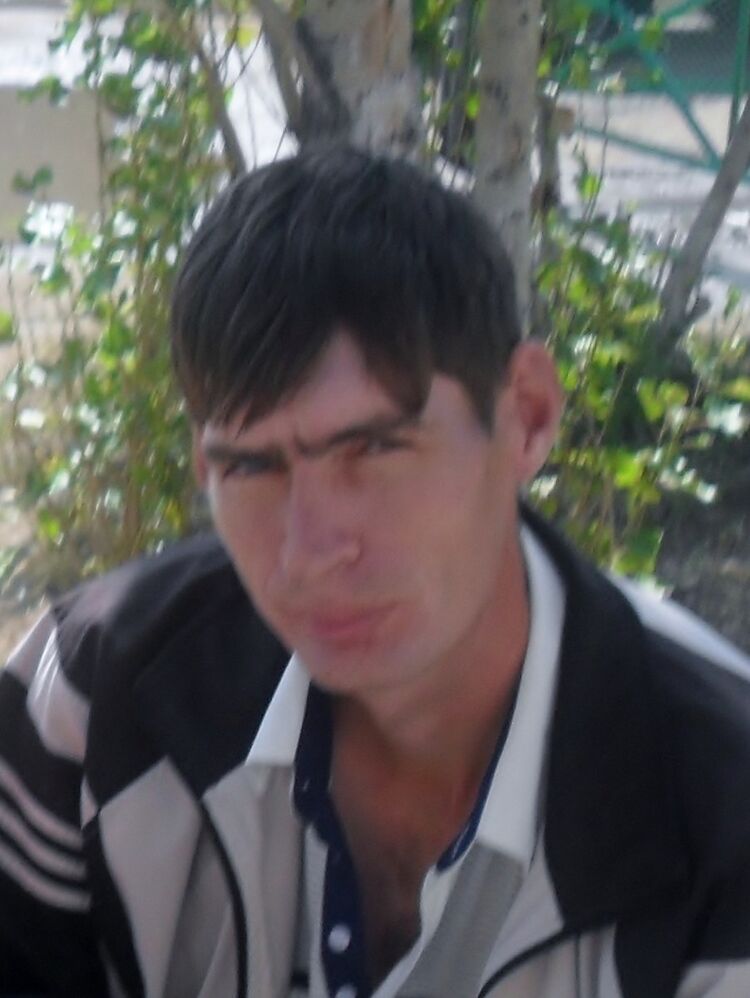  4904126  , 43 ,    