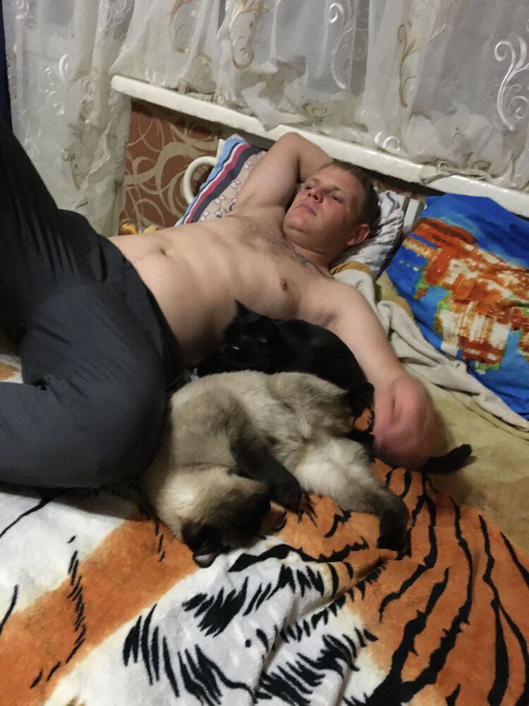  39185416  , 33 ,    