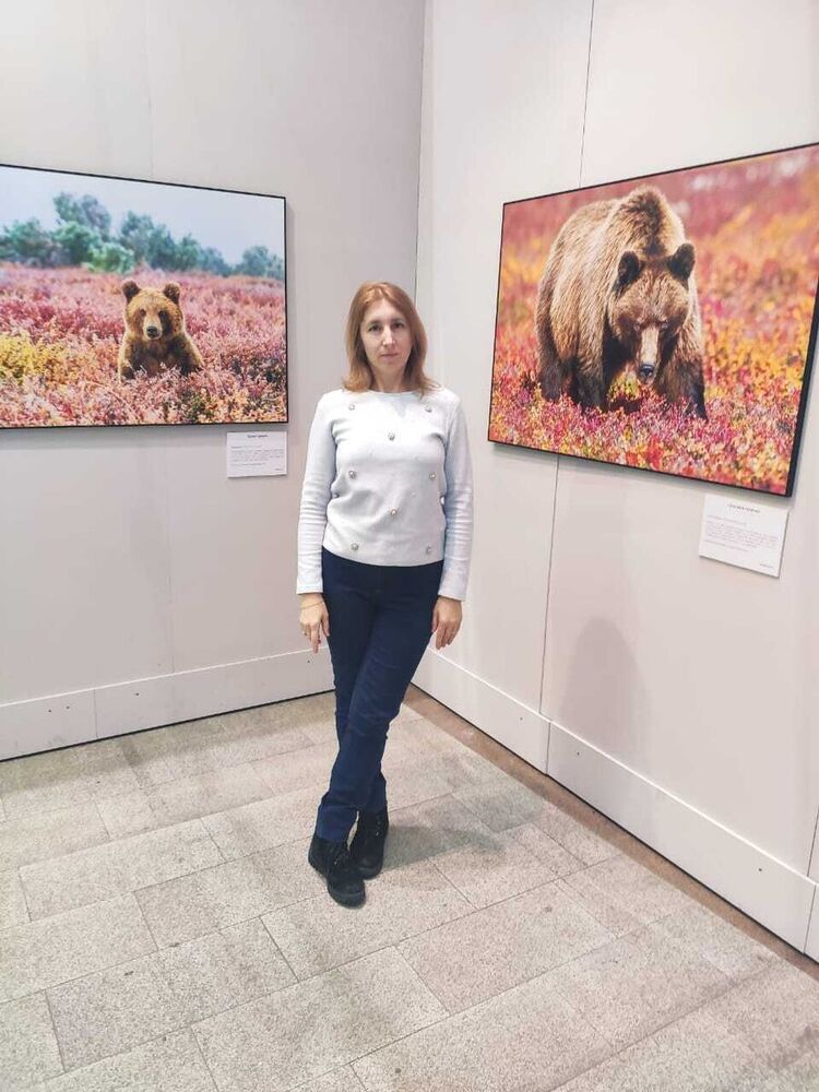  ,   , 54 ,  
