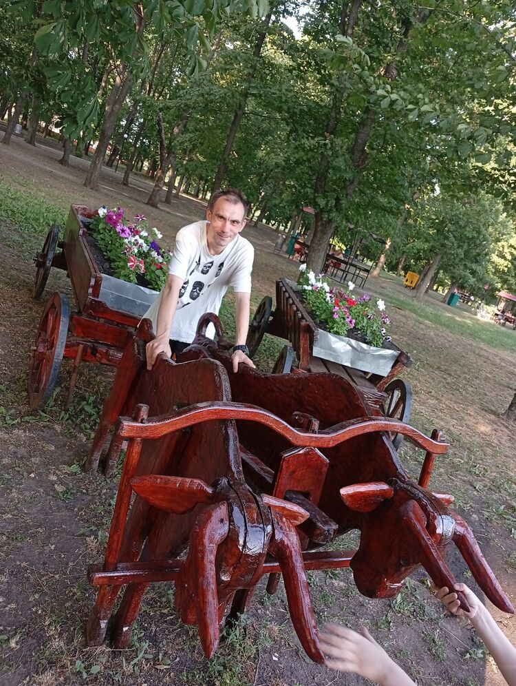 ���� 53161336 ������� A�����, 36 ���, ���� ���������� � ���������