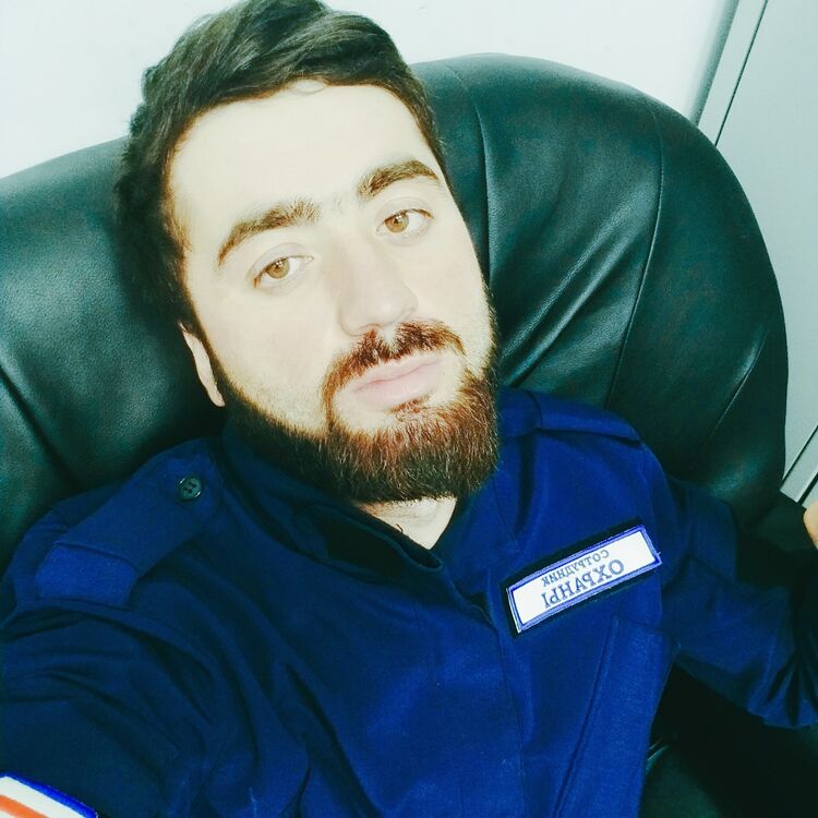  31239846  , 28 ,    
