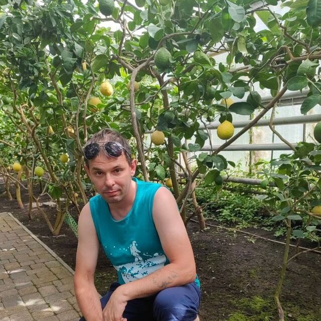 ���� 54731346 ������� �����, 39 ���, ���� ���������� � �����-����������