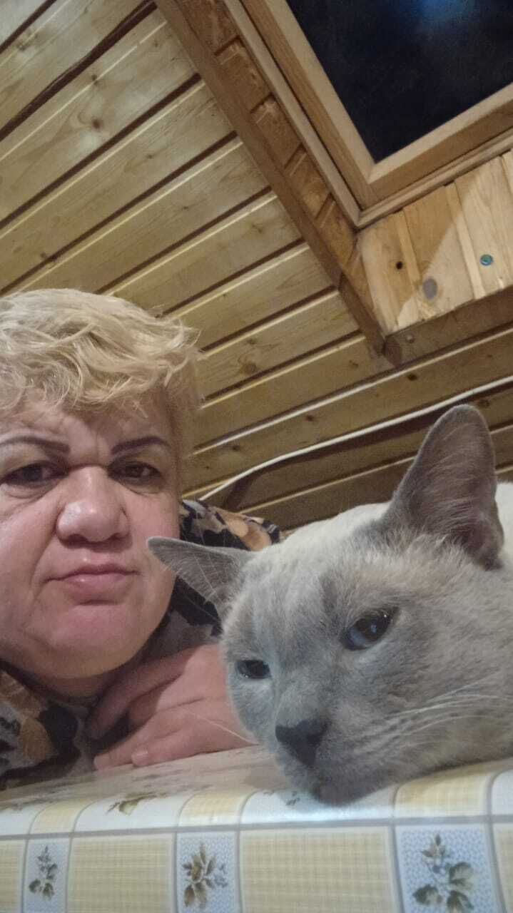 ���������� ������, ���� ������� Elvira, 95 ���, ������������ ��� ������, ����� � ���������