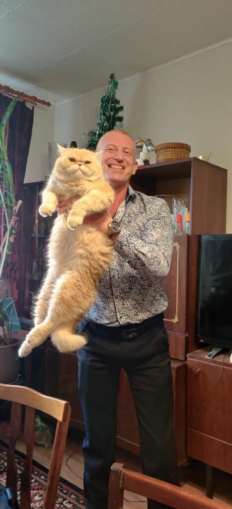 ���������� �����-���������, ���� ������� ������, 40 ���, ������������ ��� ������, ����� � ���������, c�������� ���������