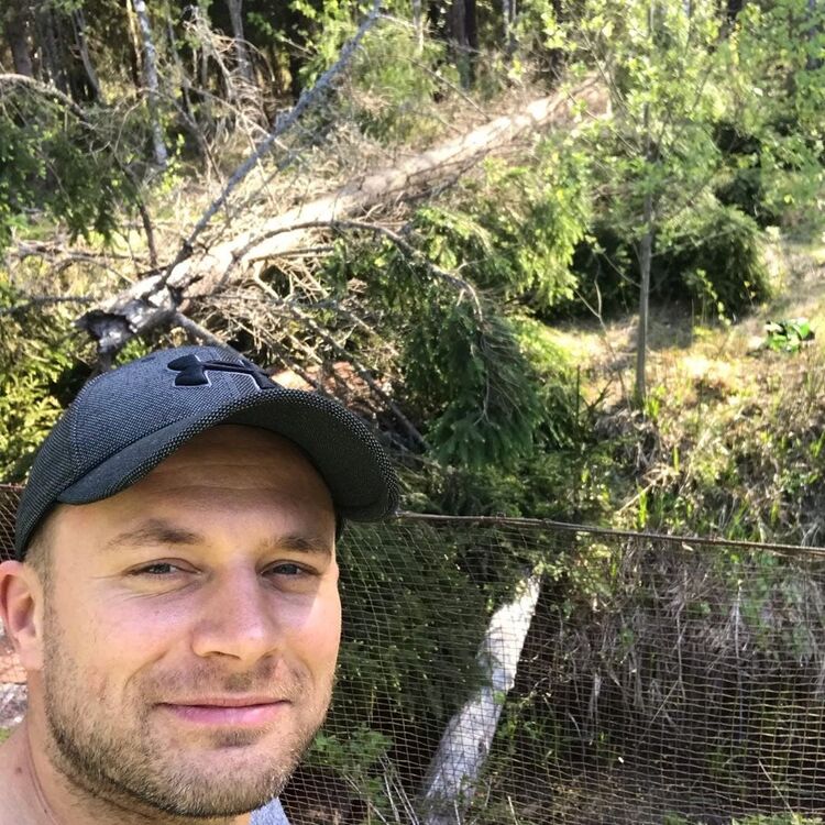 ���� 25976746 ������� ������, 36 ���, ���� ���������� � ������