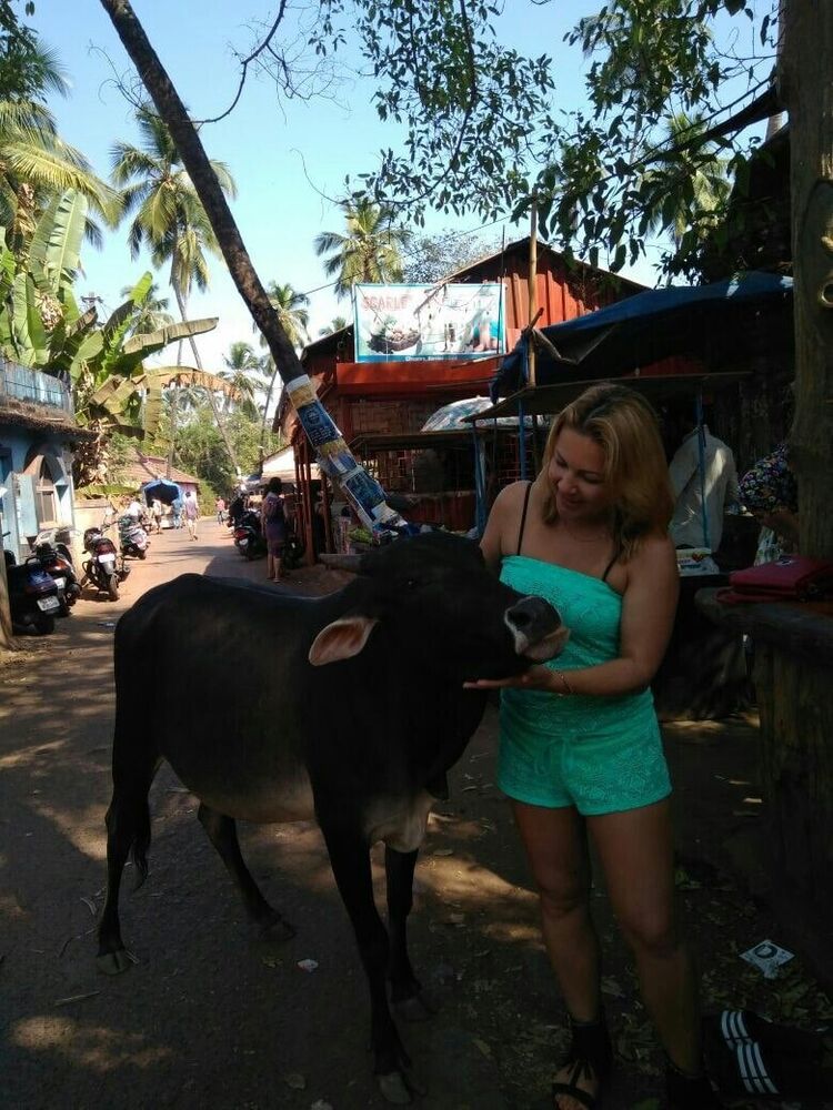 ���������� ���, ���� ������� �������, 44 ����, ������������ ��� ������, ����� � ���������