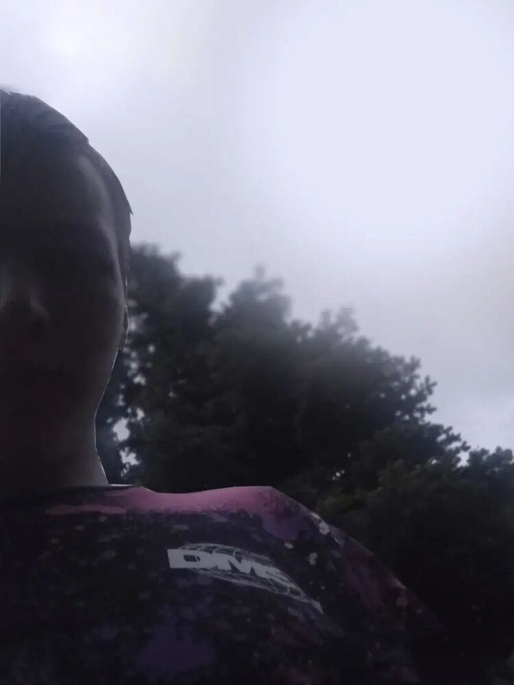  43271196  , 21 ,    