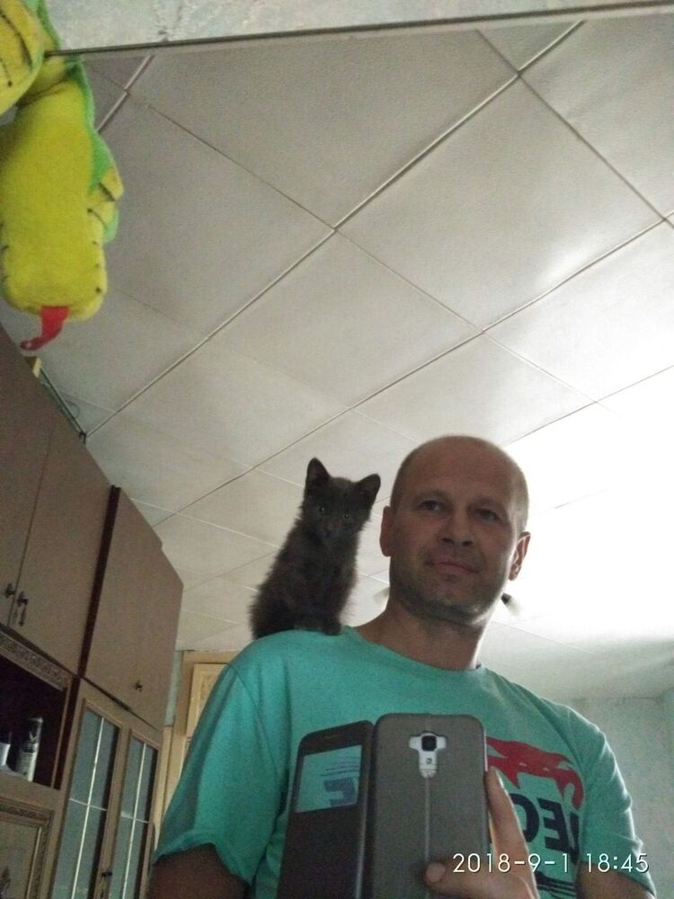 ���� 24220756 ������� Aldzi, 49 ���, ���� ���������� � ������