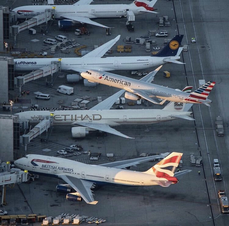 ���������� Al Fuhayhil, ���� ������� Frances, 47 ���, ������������ ��� ������, ����� � ���������, c�������� ���������, ���������