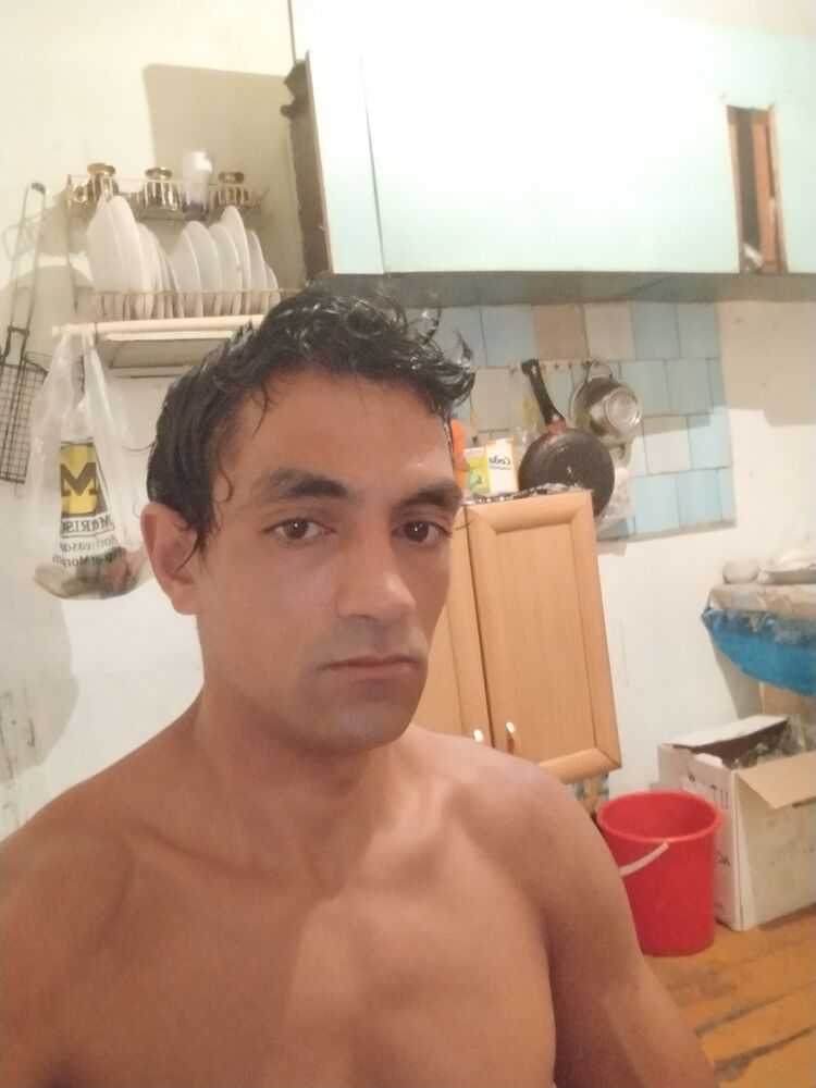  46598066  , 29 ,    