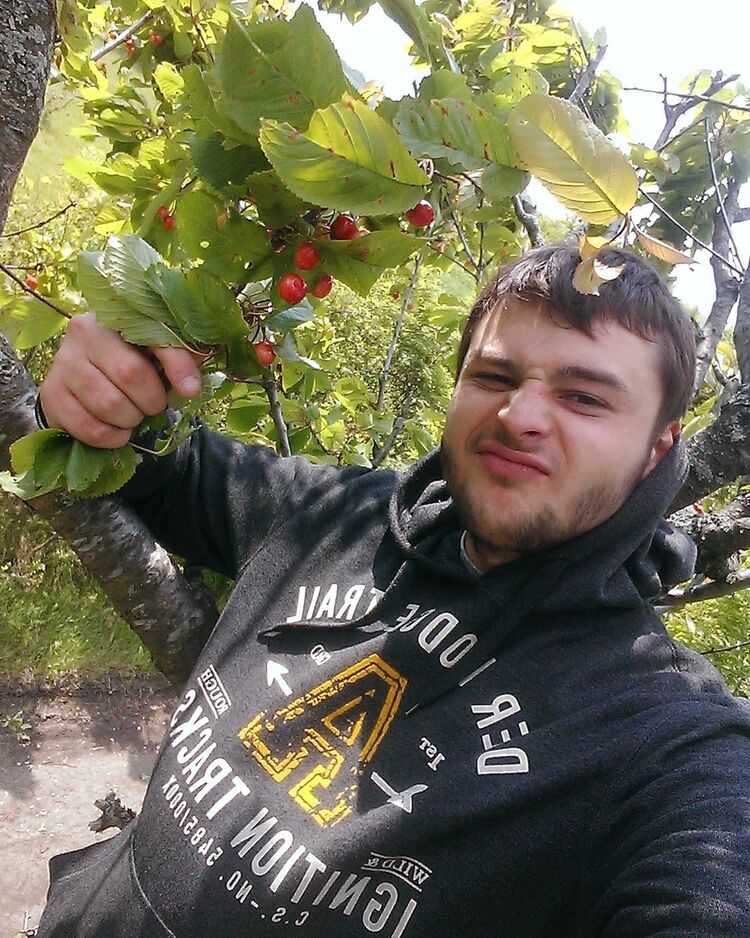  11225856  , 30 ,    