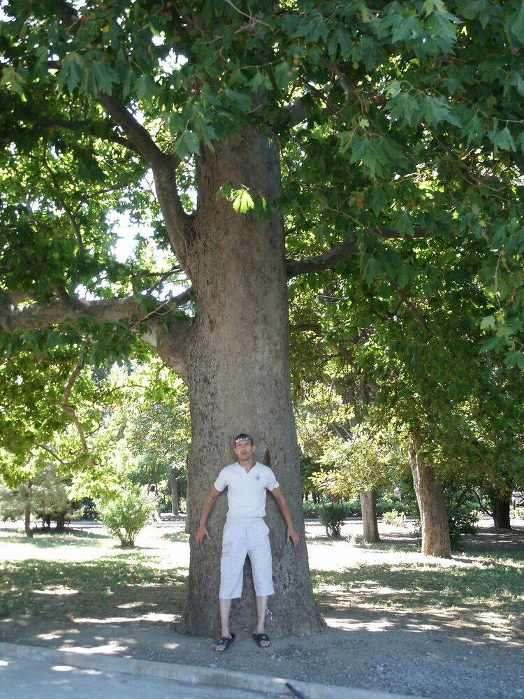 ���������� ���������, ���� ������� ���������, 55 ���, ������������ ��� ������, ����� � ���������