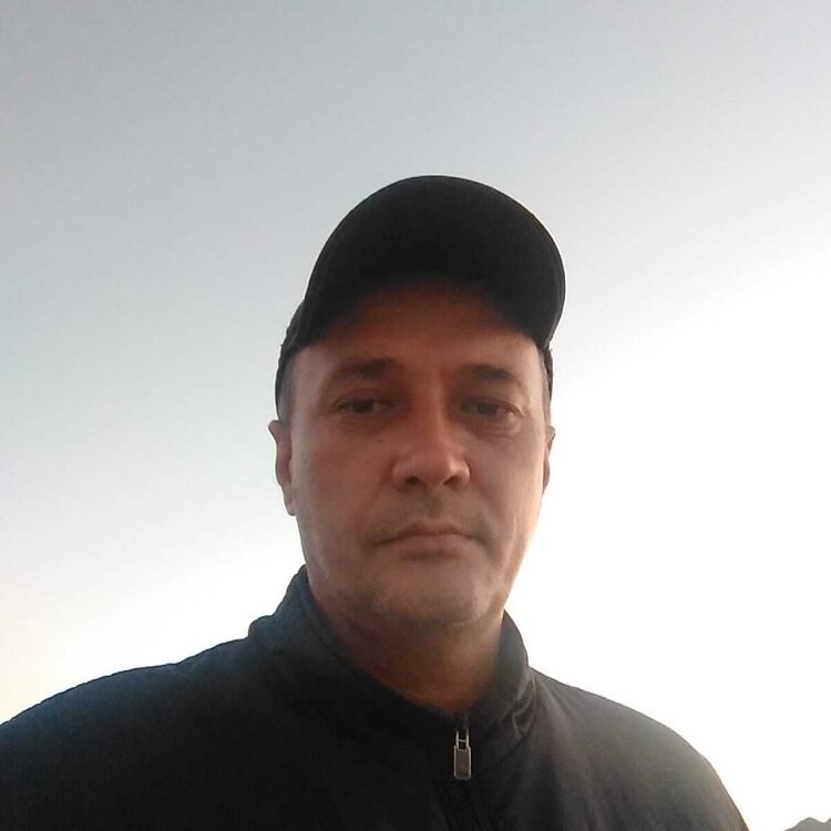 ���� 56186686 ������� ������, 44 ����, ���� ���������� � ����������