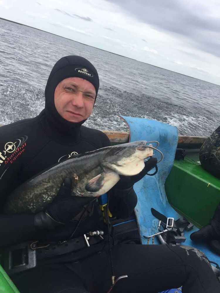 ���������� ��������, ���� ������� �������, 48 ���, ������������ ��� ������