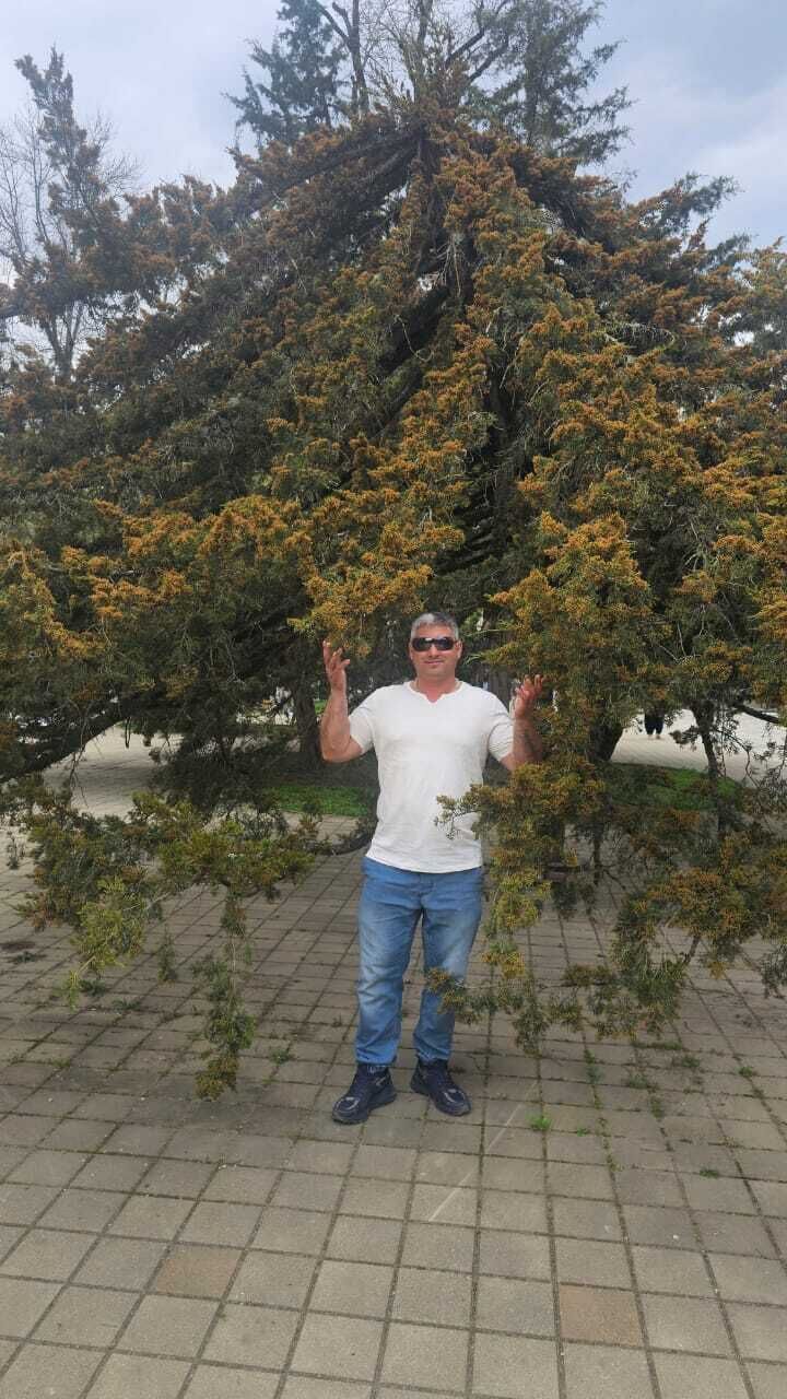  51805966  , 46 ,    