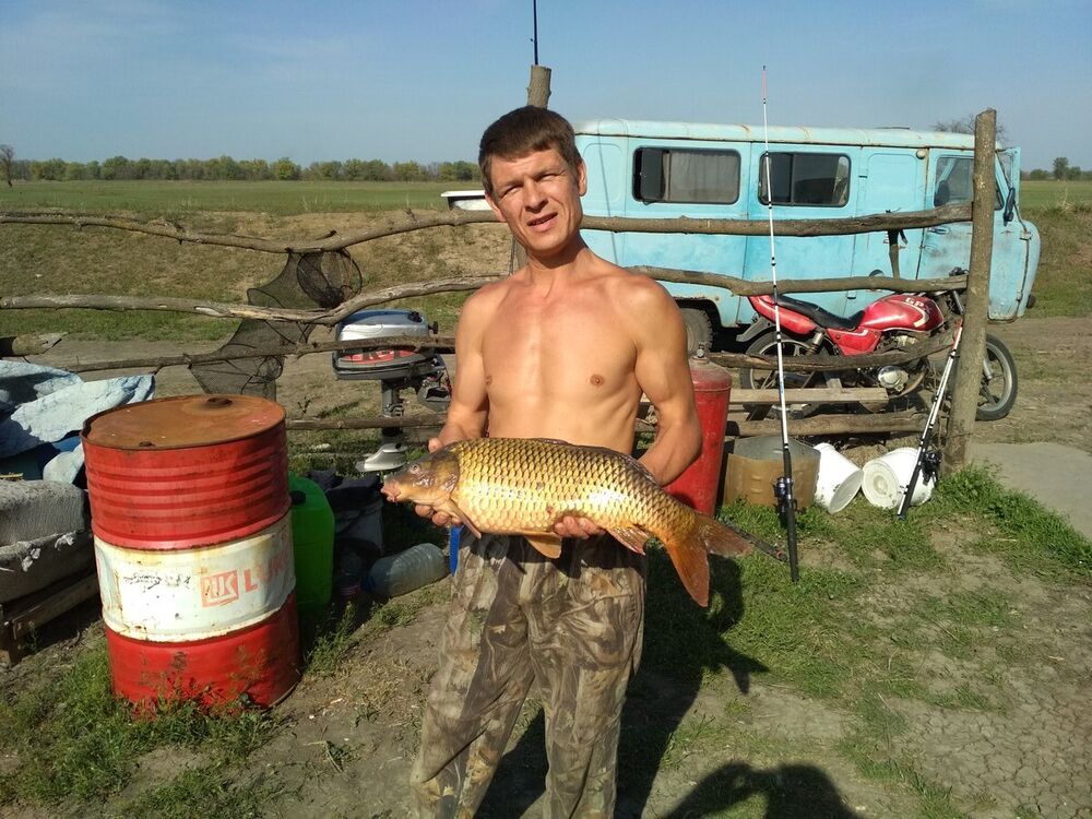 ���������� ���������, ���� ������� ��������, 48 ���, ������������ ��� ������, ����� � ���������, c�������� ���������