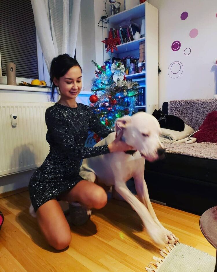 ���������� ������, ���� ������� ���������, 43 ����, ������������ ��� ������