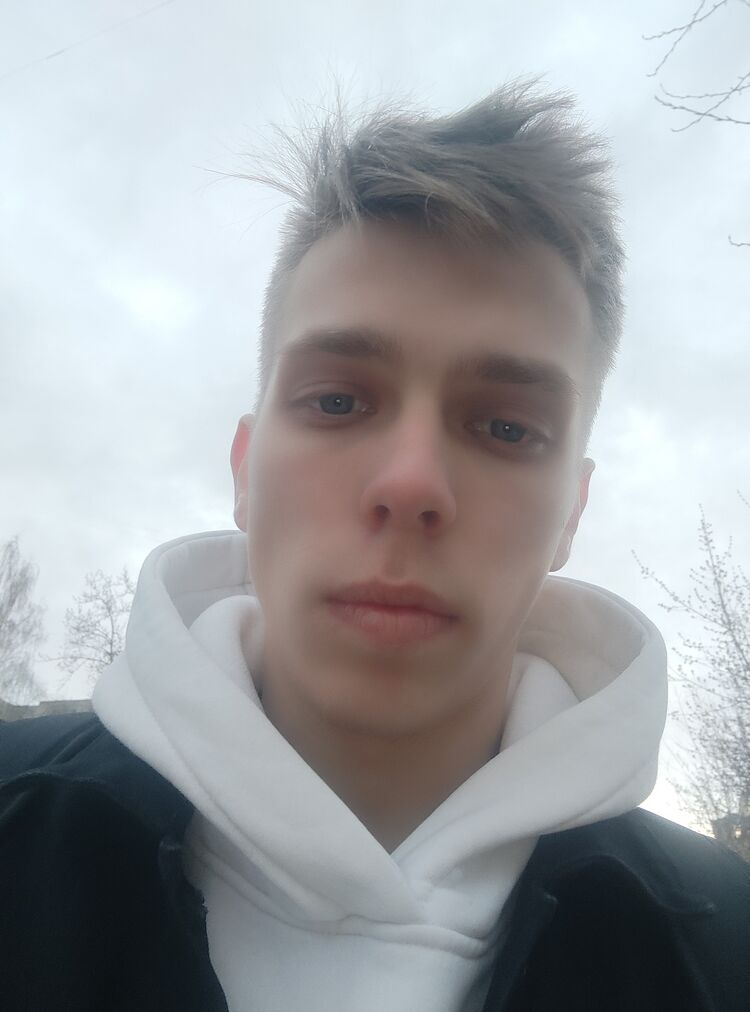  28131316  , 21 ,    