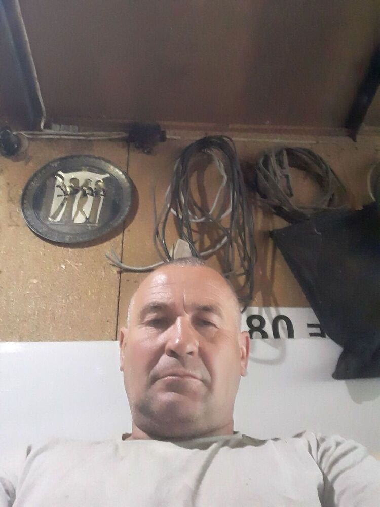  42431616  , 53 ,    