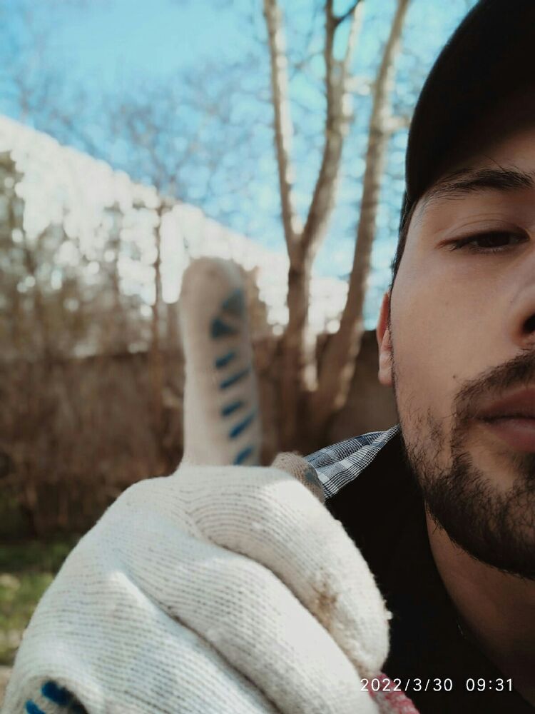 ���������� ���������, ���� ������� ������, 27 ���, ������������ ��� ������, ����� � ���������