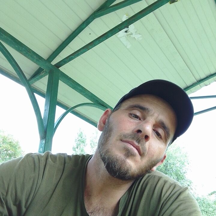  44791576  , 38 ,    