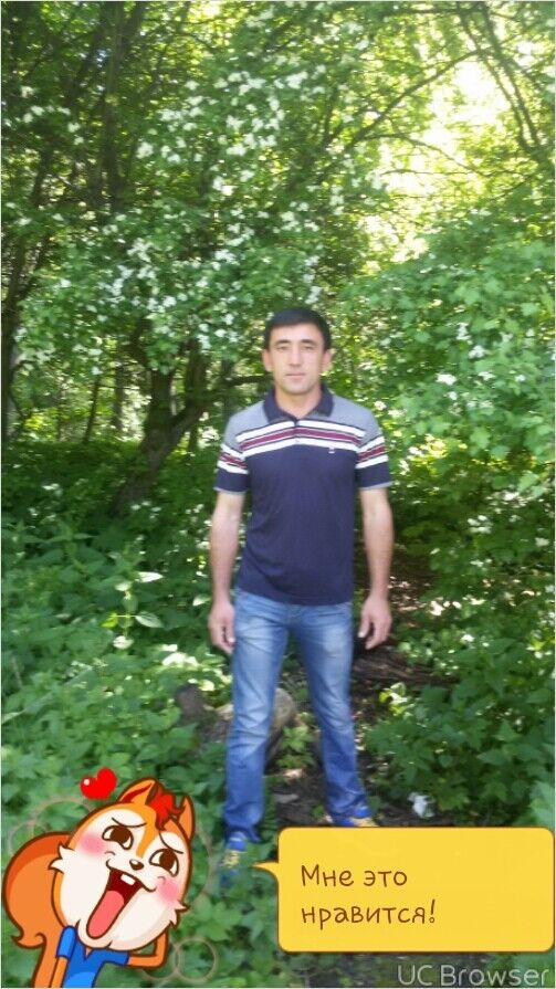  ,   , 41 ,   