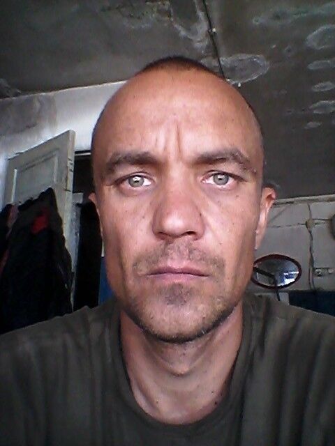  ,   , 46 ,   