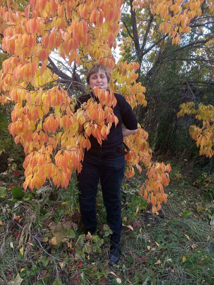 ���������� ���������, ���� ������� �����, 59 ���, ������������ ��� ����� � ���������, c�������� ���������