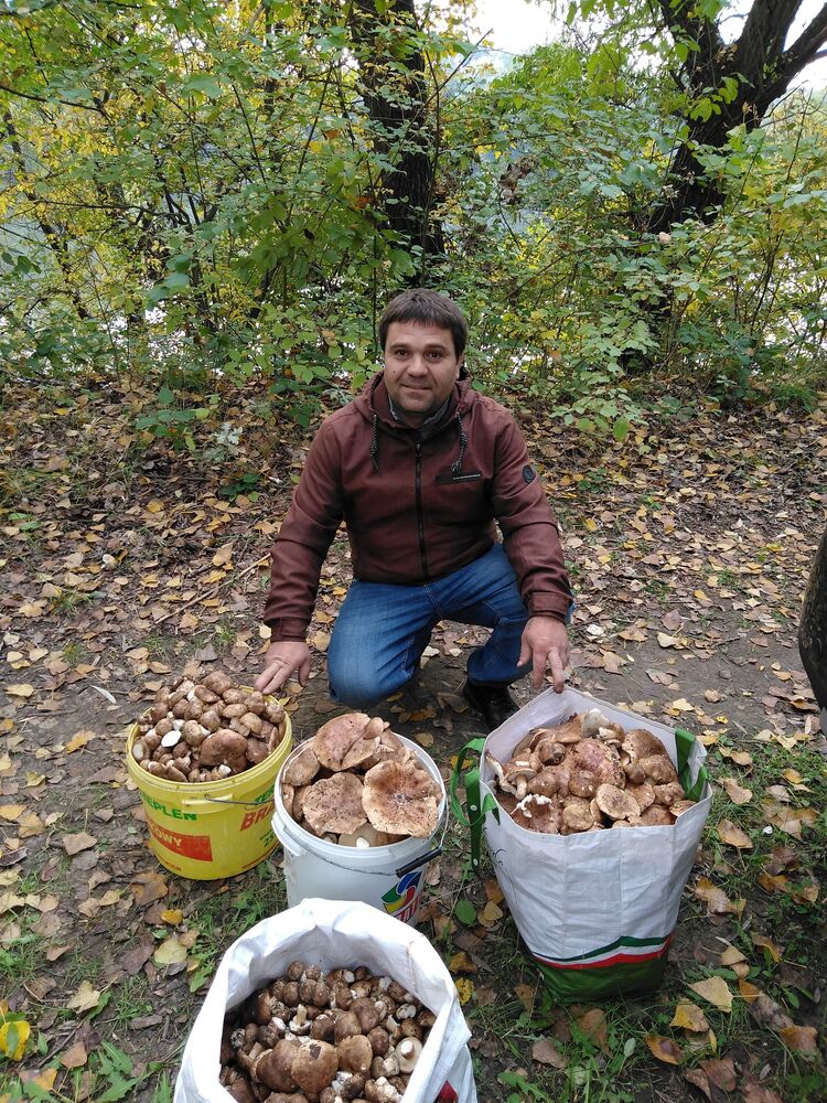 ���� 29859176 ������� Victor, 41 ���, ���� ���������� � ��������