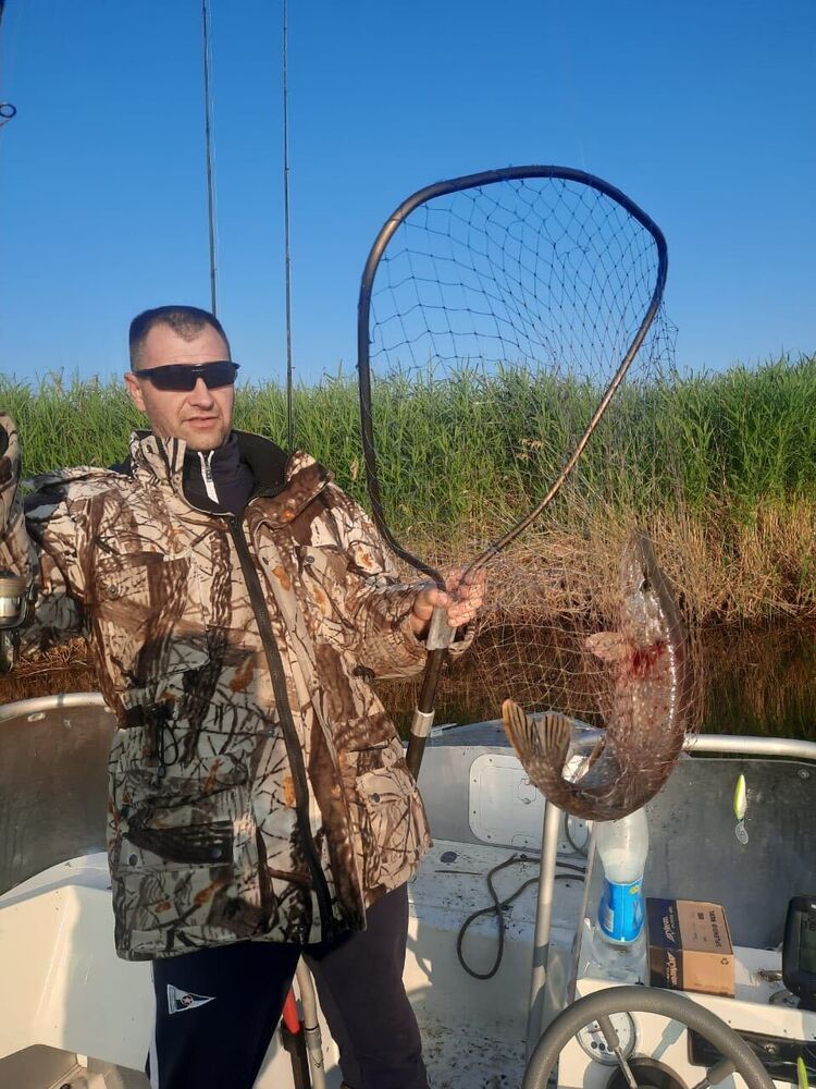 ���������� ������, ���� ������� �����, 40 ���, ������������ ��� ������, ����� � ���������