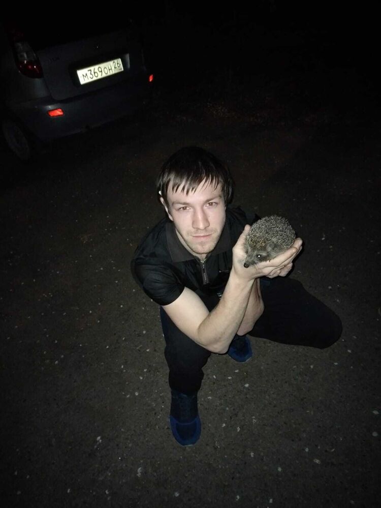 ���� 54221156 ������� ������, 29 ���, ���� ���������� � �����������