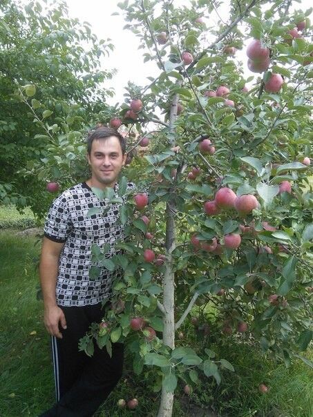 ���� 18420806 ������� ������, 40 ���, ���� ���������� � ��������