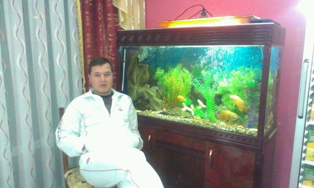  ,   , 45 ,   