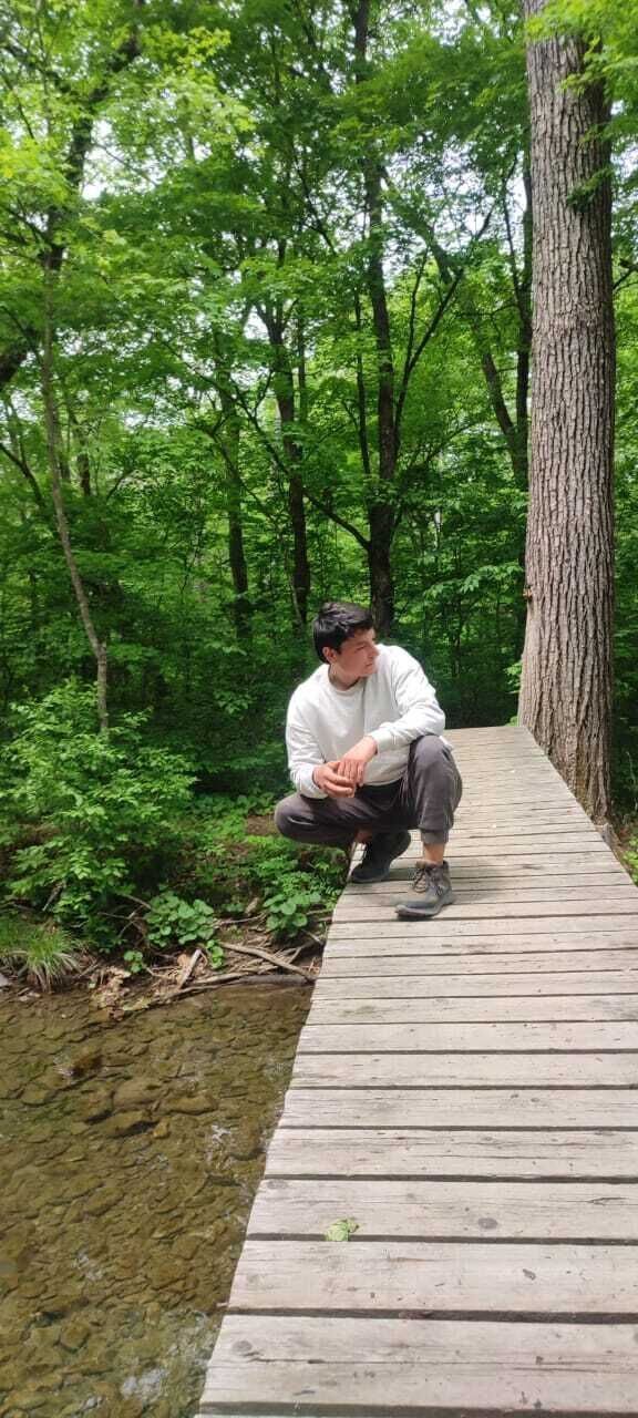 ���� 45101036 ������� ����, 33 ����, ���� ���������� � ������������