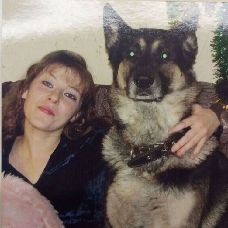 ���� 51241406 ������� �����, 47 ���, ���� ���������� � ����������