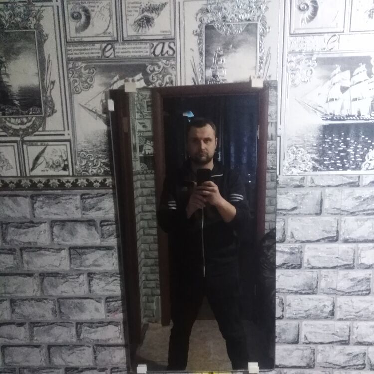  33442556  , 31 ,    -