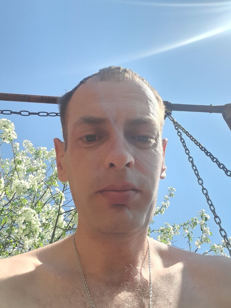  32555376  , 41 ,    