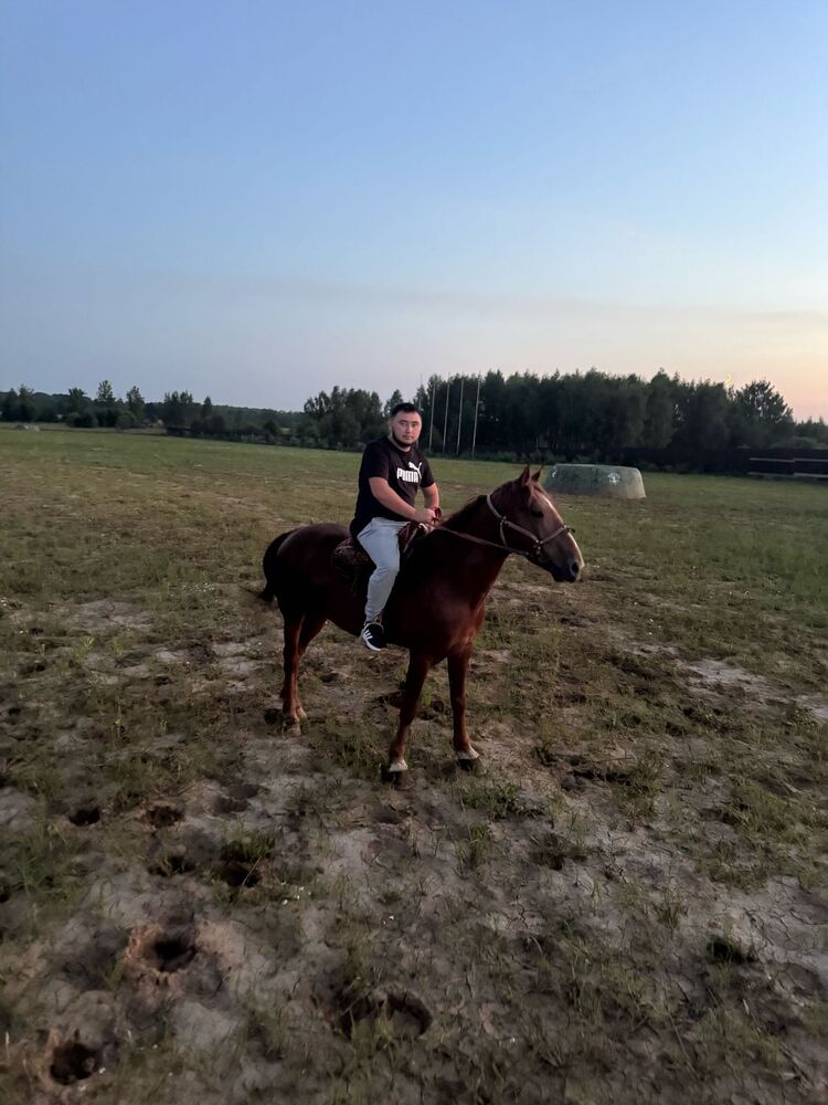  53541756  , 30 ,    -