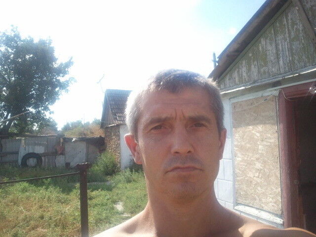  10696176  , 51 ,    