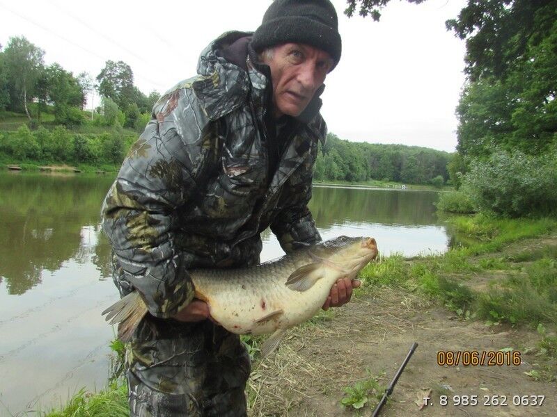 ���� 8494936 ������� Ogo9323, 67 ���, ���� ���������� � ������