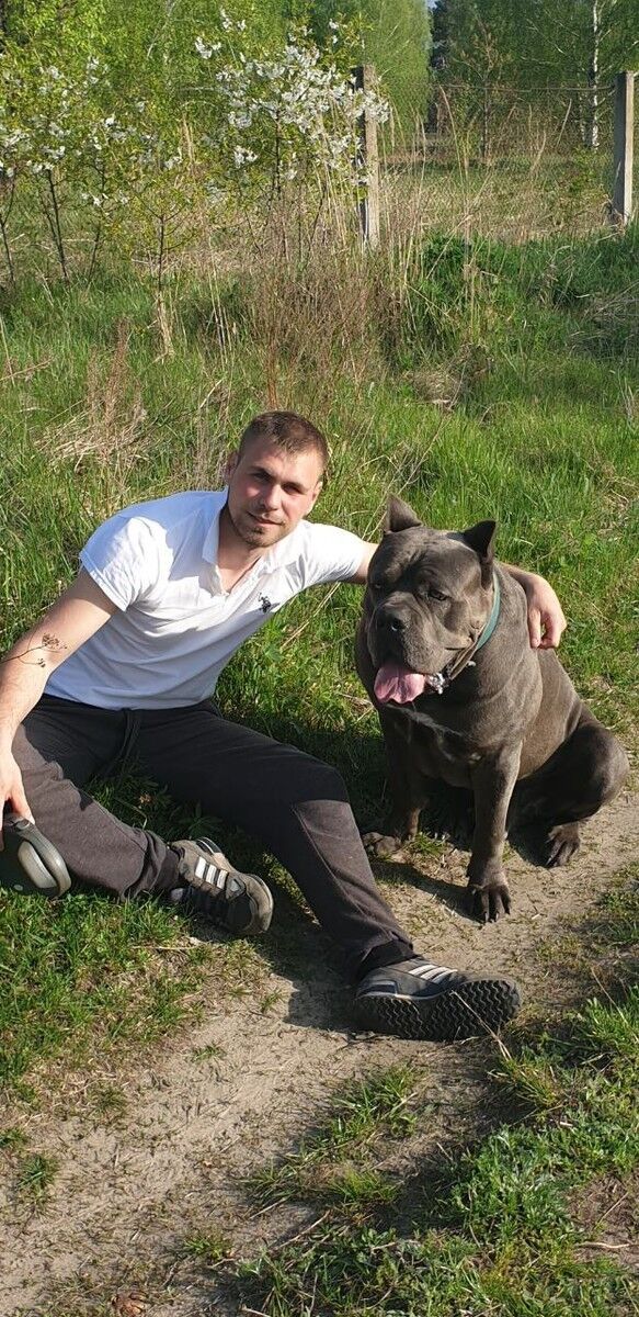 ���������� ����, ���� ������� ������, 33 ����, ������������ ��� ������, ����� � ���������, c�������� ���������