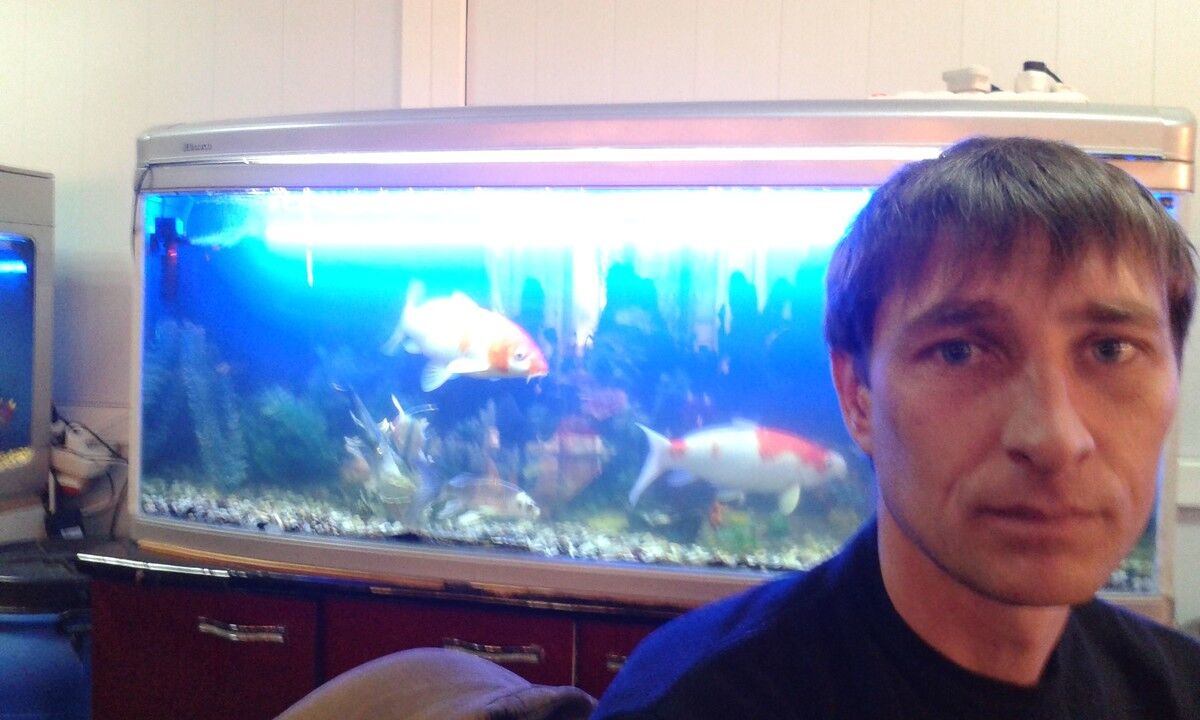 ���������� �����������, ���� ������� ������, 43 ����, ������������ ��� ������