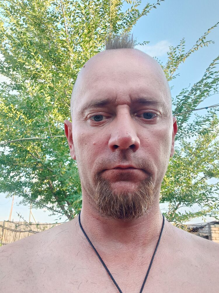  53364866  , 40 ,    