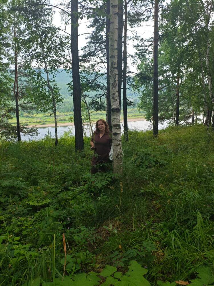  54244456  , 59 ,    -