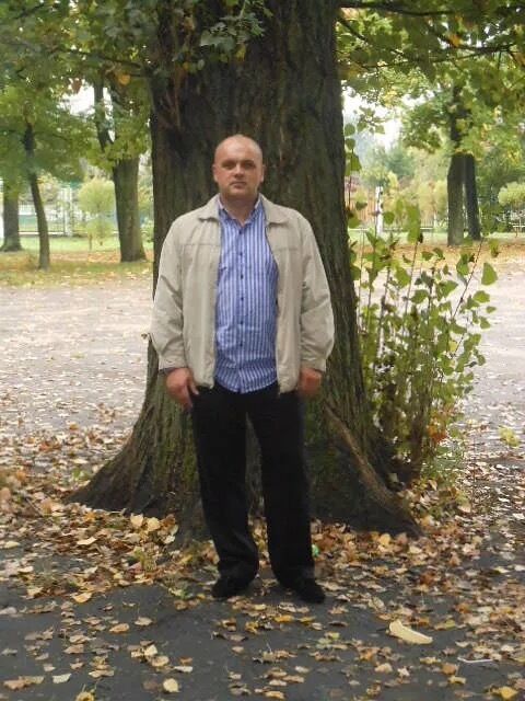 ���� 55341606 ������� ������, 52 ����, ���� ���������� � ���������