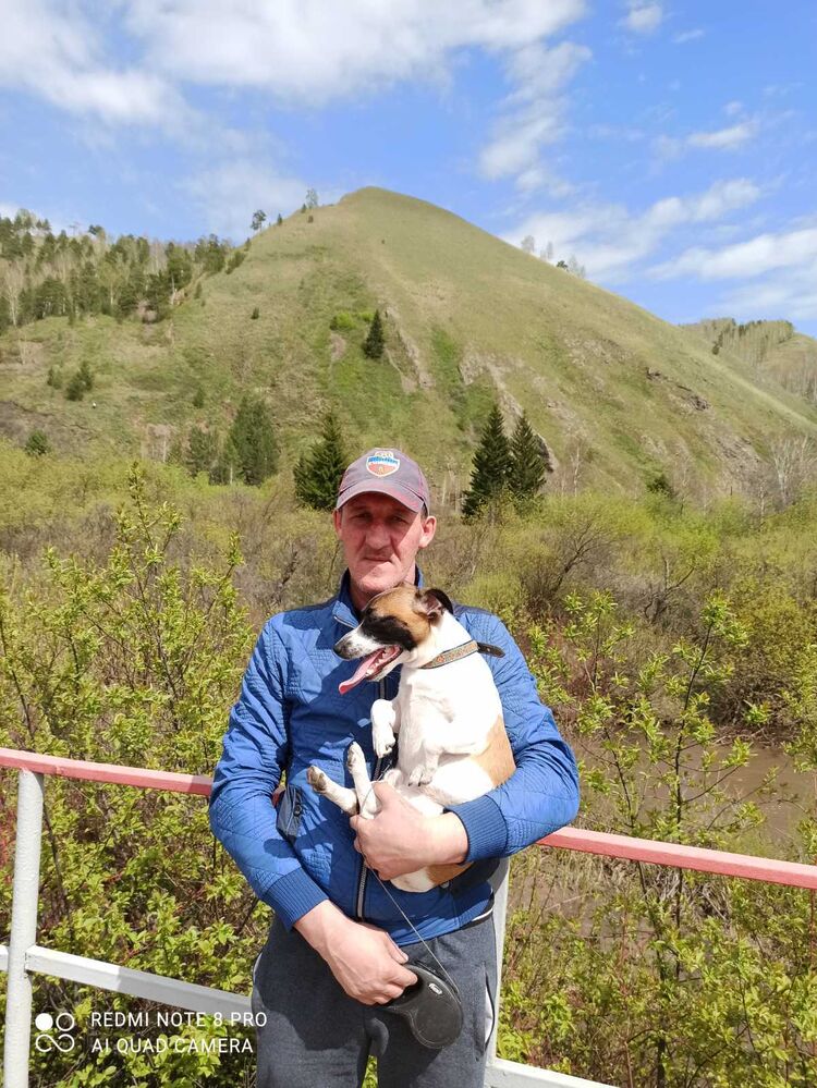  53709606  , 52 ,    -