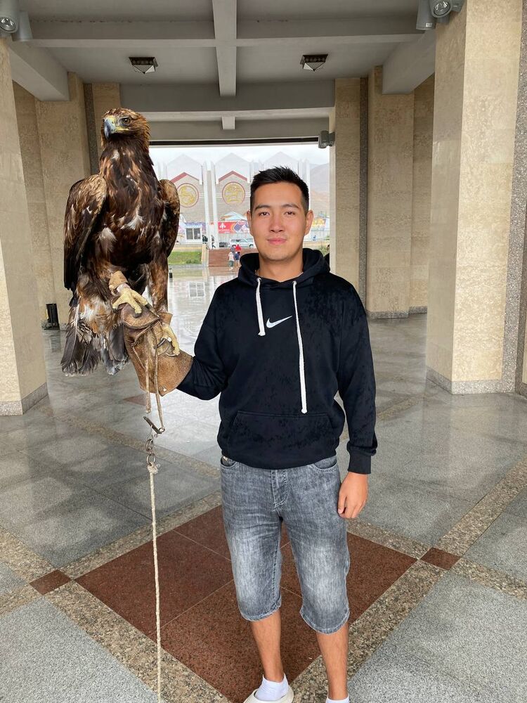 ���� 45236556 ����� Fly, 23 ����, ���� ���������� � �������