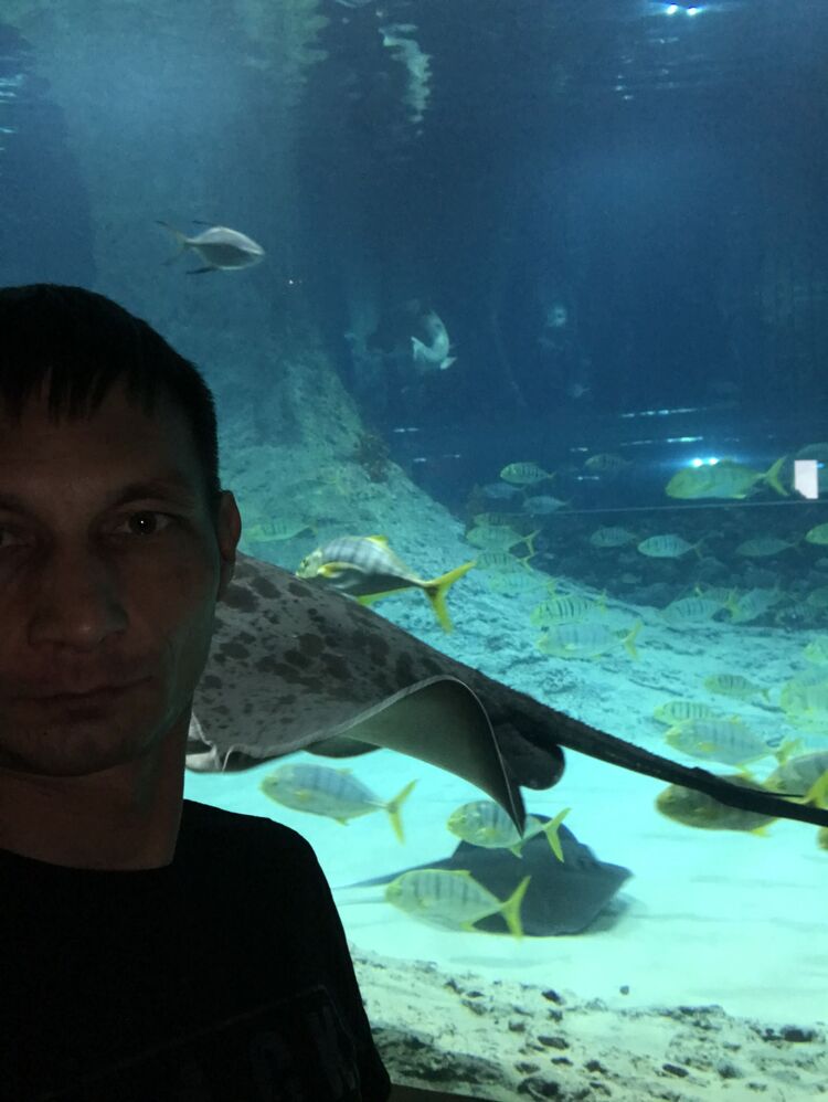 ���� 34782446 ������� ����, 40 ���, ���� ���������� � ���