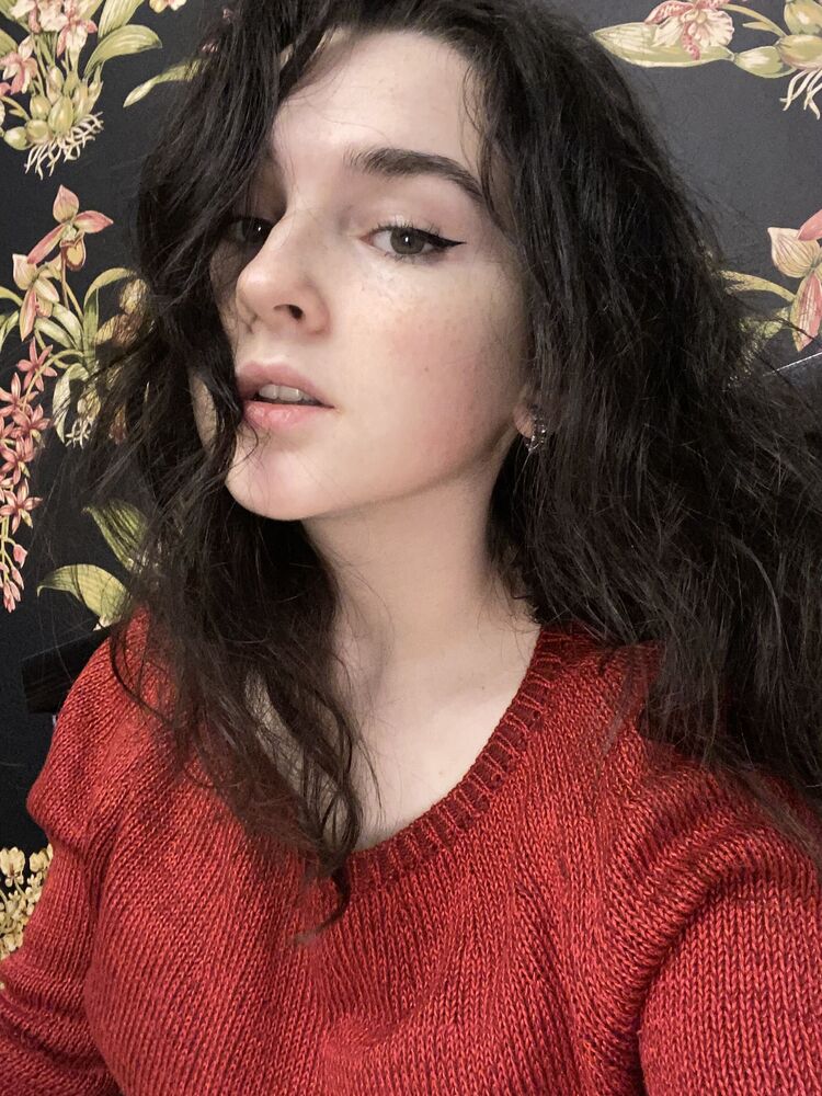 ���������� ������, ���� ������� ���������, 23 ����, ������������ ��� ������, ����� � ���������, ���������