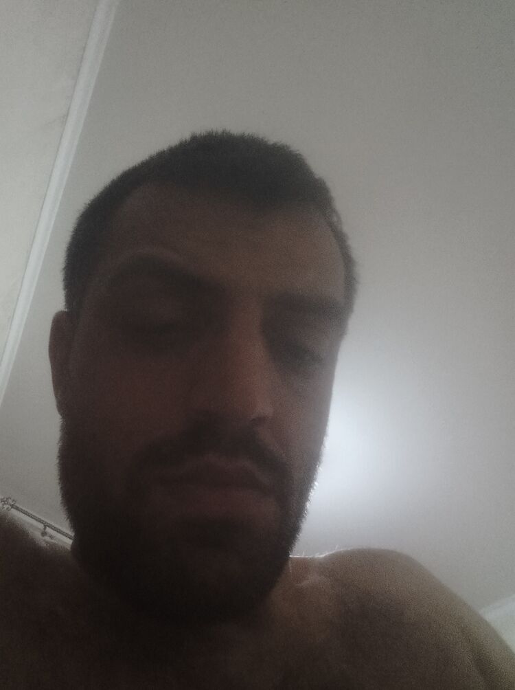  42660736  , 31 ,    